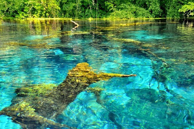 Blue Eye, a natural wonder in southern Albania, featuring a stunning crystal-clear blue waters