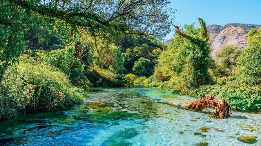 Blue Eye in Albania - a stunning natural spring with crystal-clear blue water surrounded by lush green vegetation