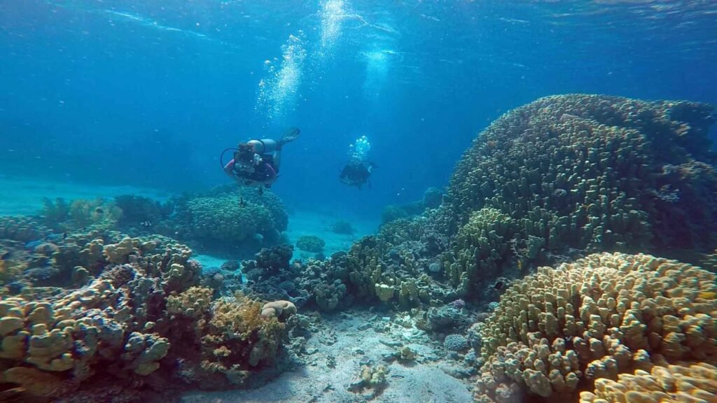 Two scuba divers in Saranda, Albani underwater showing big corrals, sandy landscape