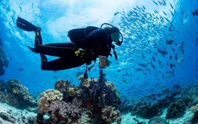 Scuba diver underwater looking at the fish in Saranda, Albania